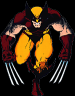 Wolverine Image