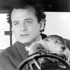 groundhogday