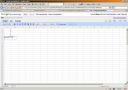 Typing the Spreadsheet