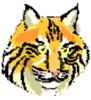 lynx icon